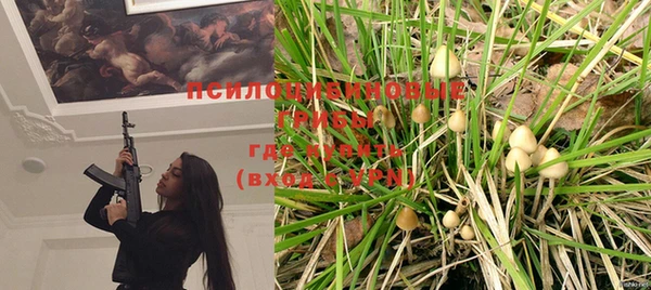ешки Новодвинск