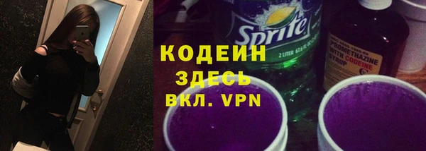 молекула духа Новозыбков