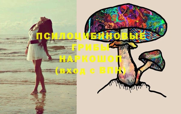 мяу мяу мука Уссурийск
