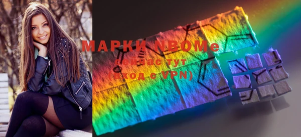 молекула духа Новозыбков
