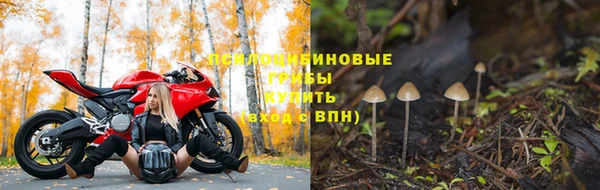 ешки Новодвинск